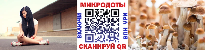 Купить где  Богданович  Псилоцибиновые грибы мухоморы 